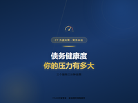 D33 财务体检篇 债务健康度：你的债务压力有多大